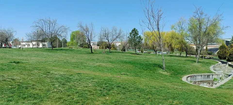 Harikalar Diyarı