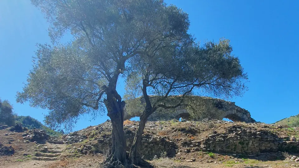 Mastaura, hamam ve zeytinlik, Mastaura Antik Kenti
