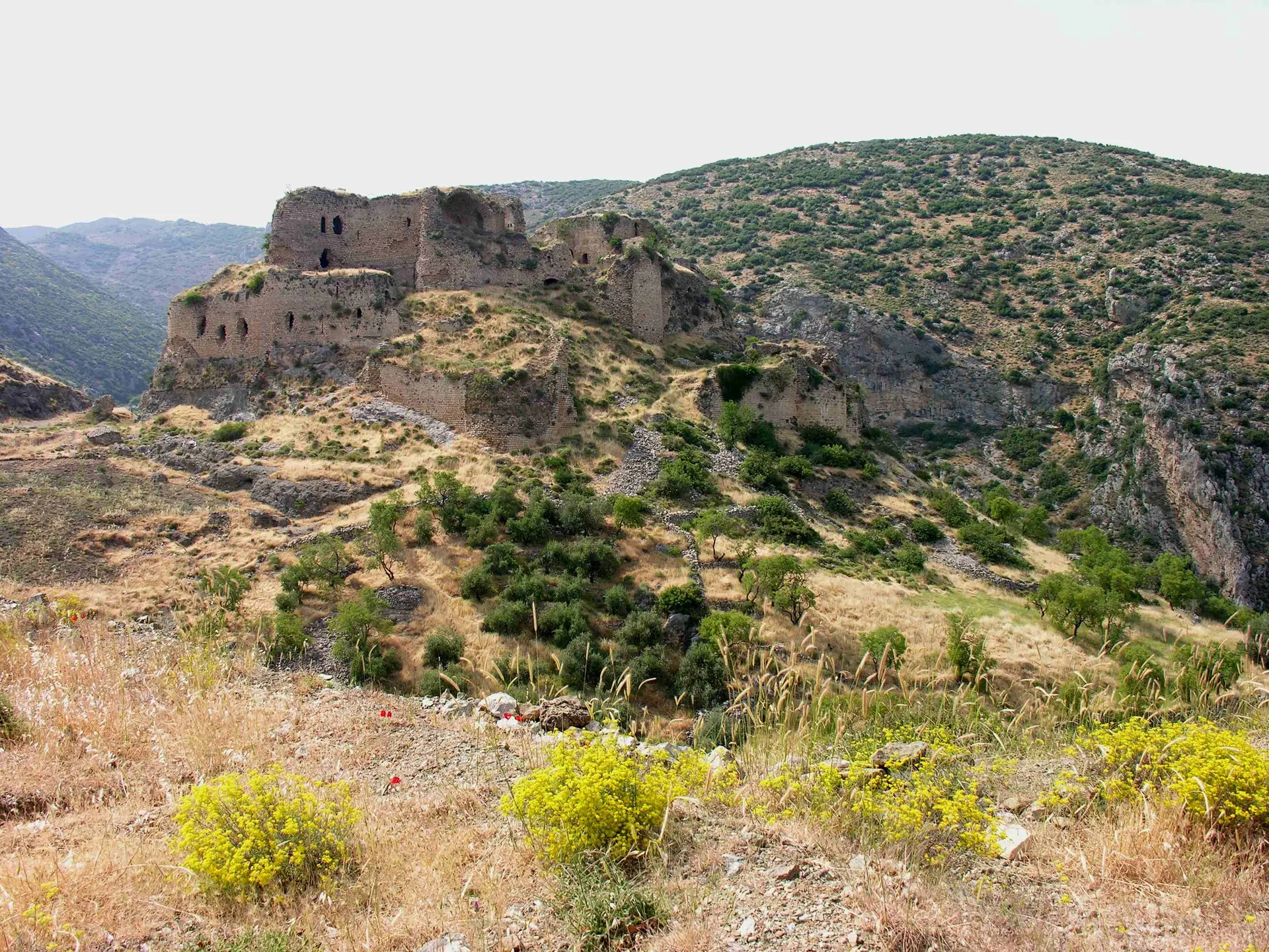 Bakras Kalesi, Bakras Kalesi
