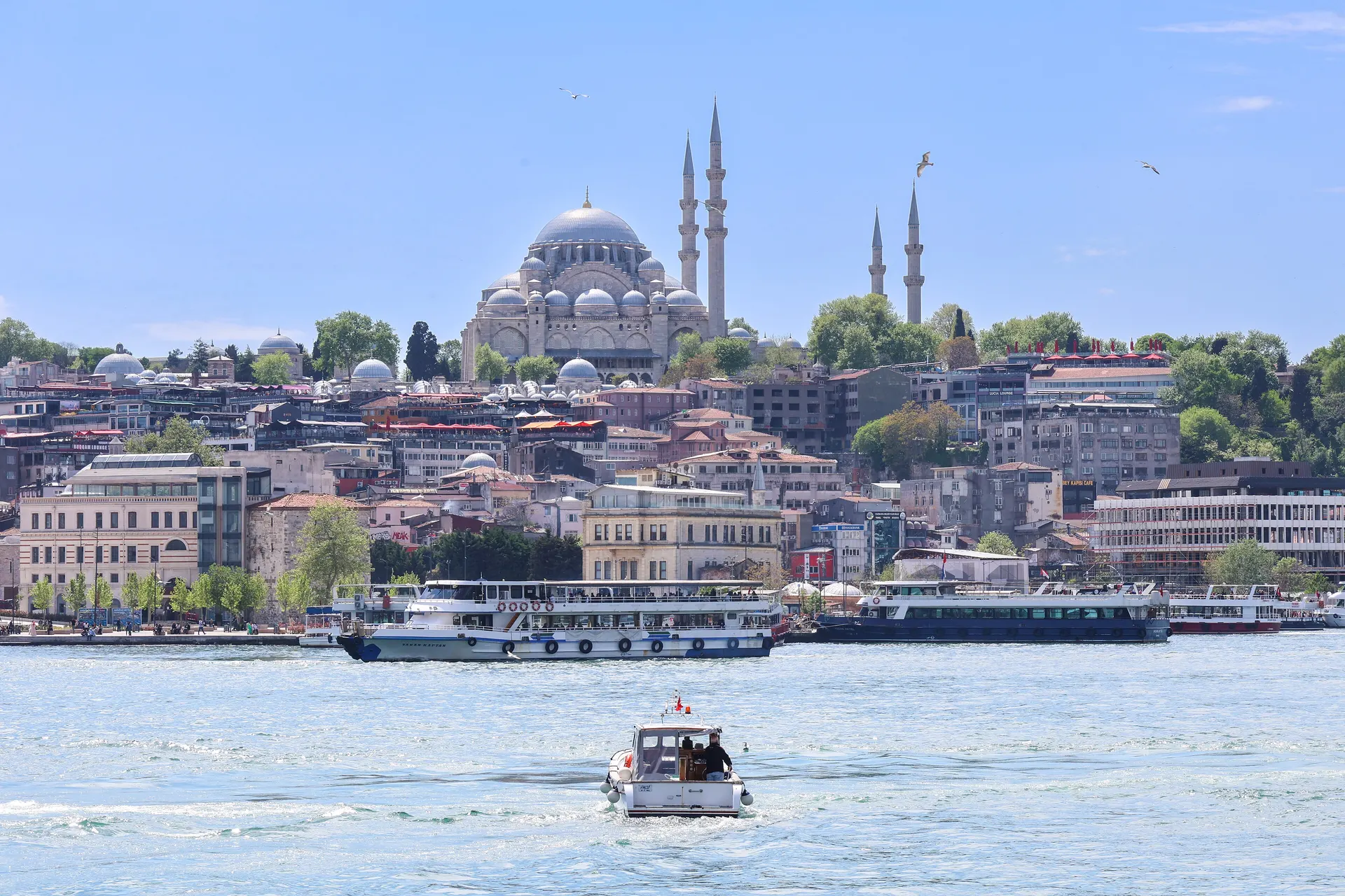 Süleymaniye Camii, Süleymaniye Camii