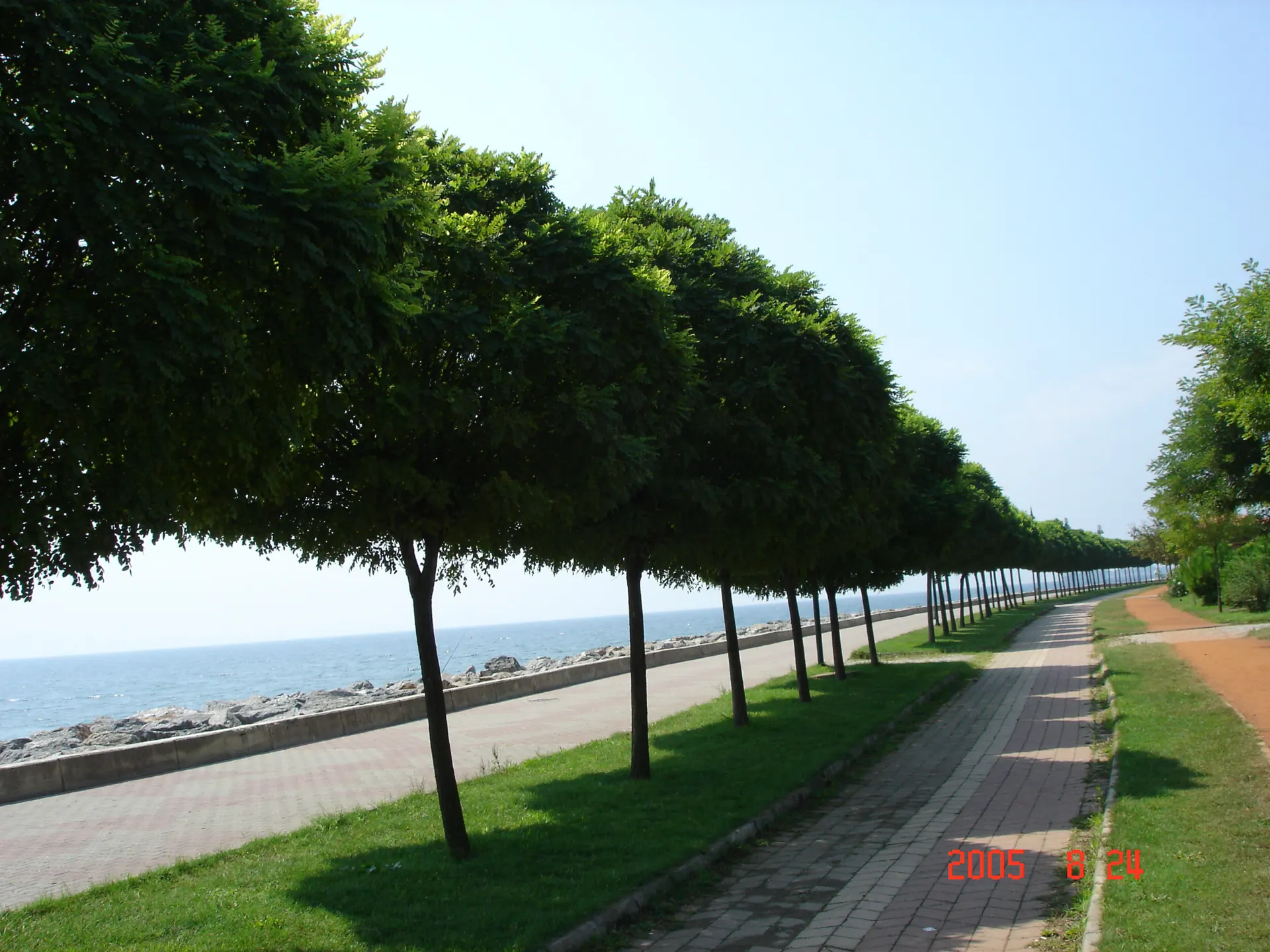 Tuzla sahil yürüyüş yolu, Tuzla sahili