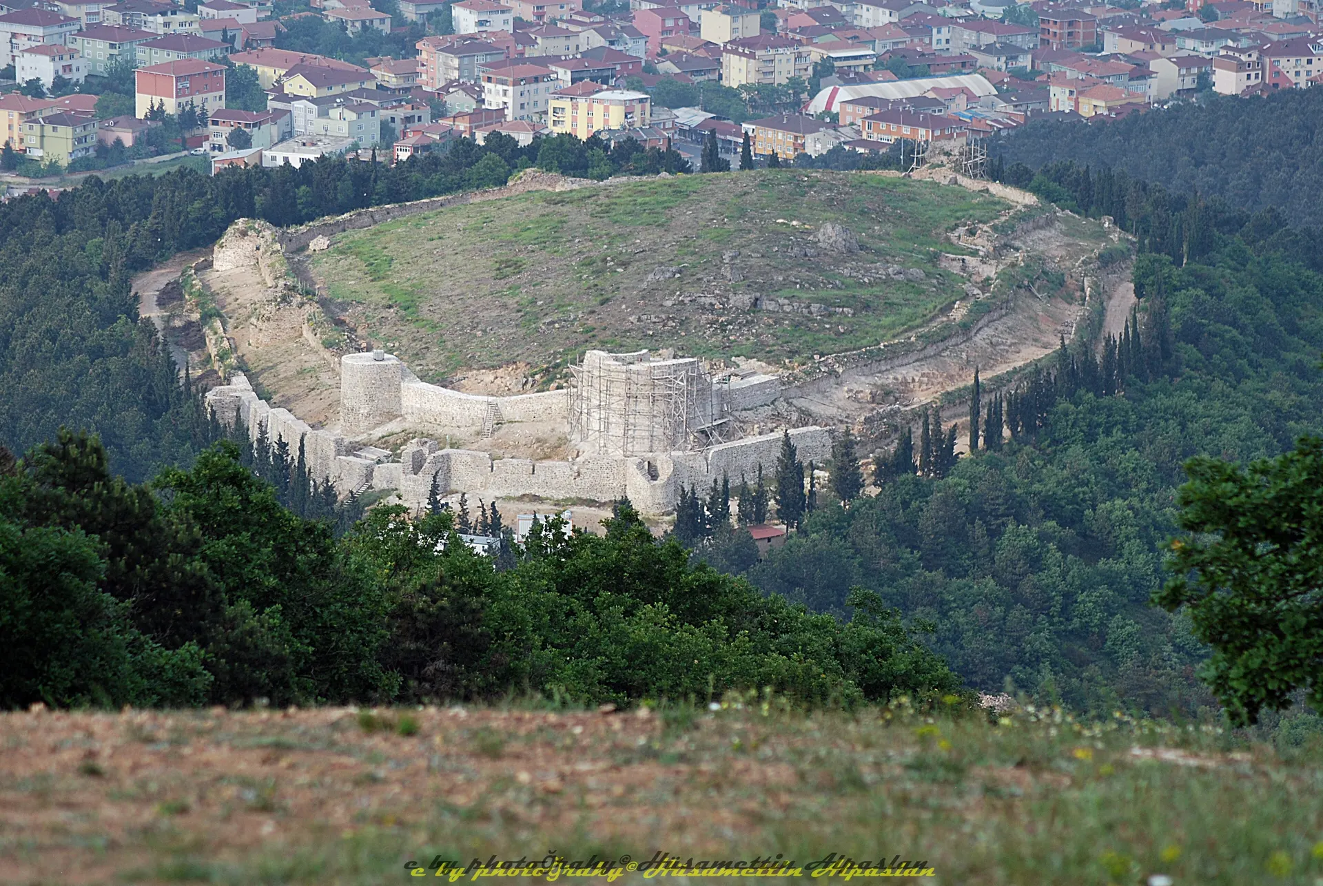 Aydos Kalesi kalıntıları ve Aydos Ormanı, Aydos Ormanı
