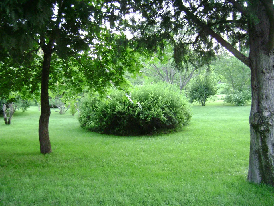 Çamlık Parkı