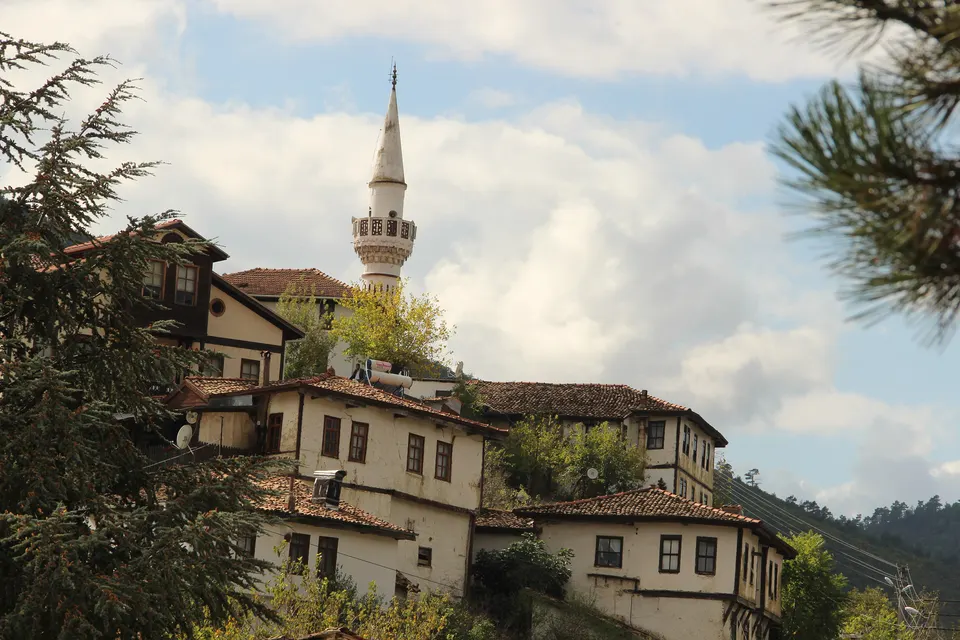 Taraklı'da ahşap evler ve cami minaresi, Taraklı Evleri