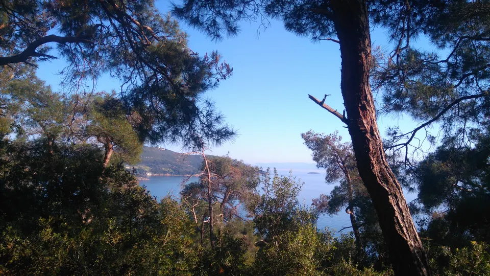 Adalar
