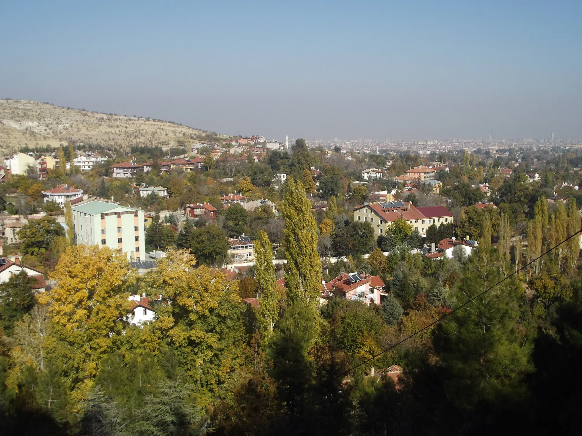 Meram Bağları, Meram Bağları