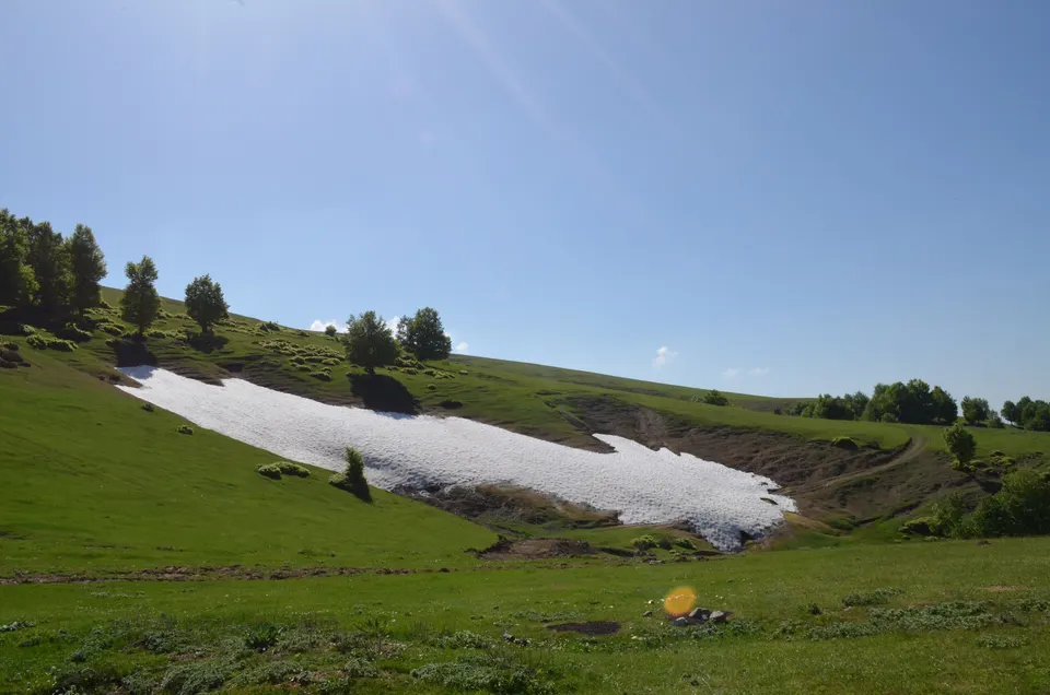 Kunduz Dağı'nda geç kalan kar, Kunduz Ormanları