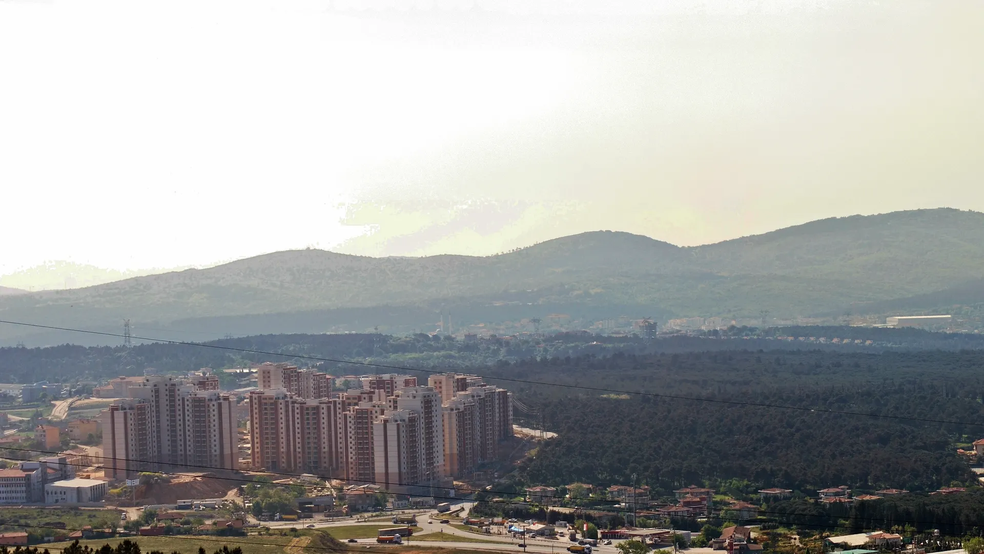 Alemdağ, Alemdağ Ormanı