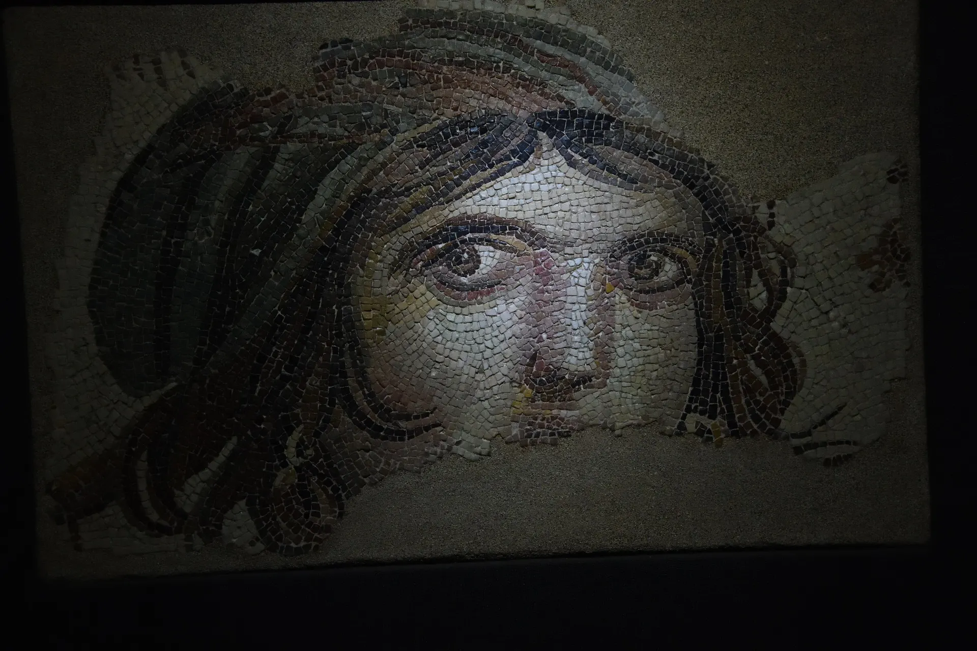 Çingene Kızı mozaiği, Zeugma Mozaik Müzesi, Zeugma Mozaik Müzesi