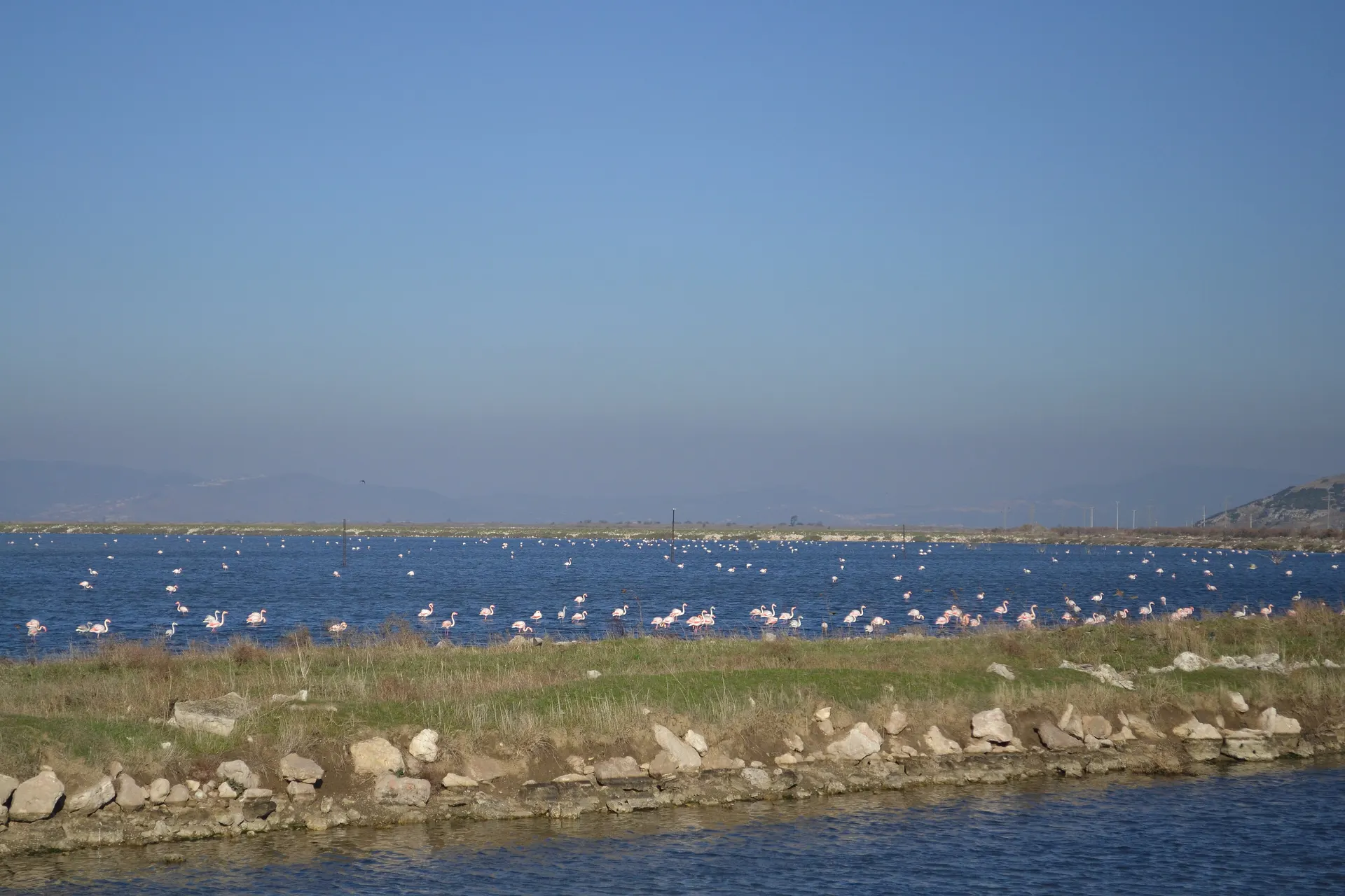 İzmir Kuş Cenneti, Gediz Deltası, İzmir Kuş Cenneti