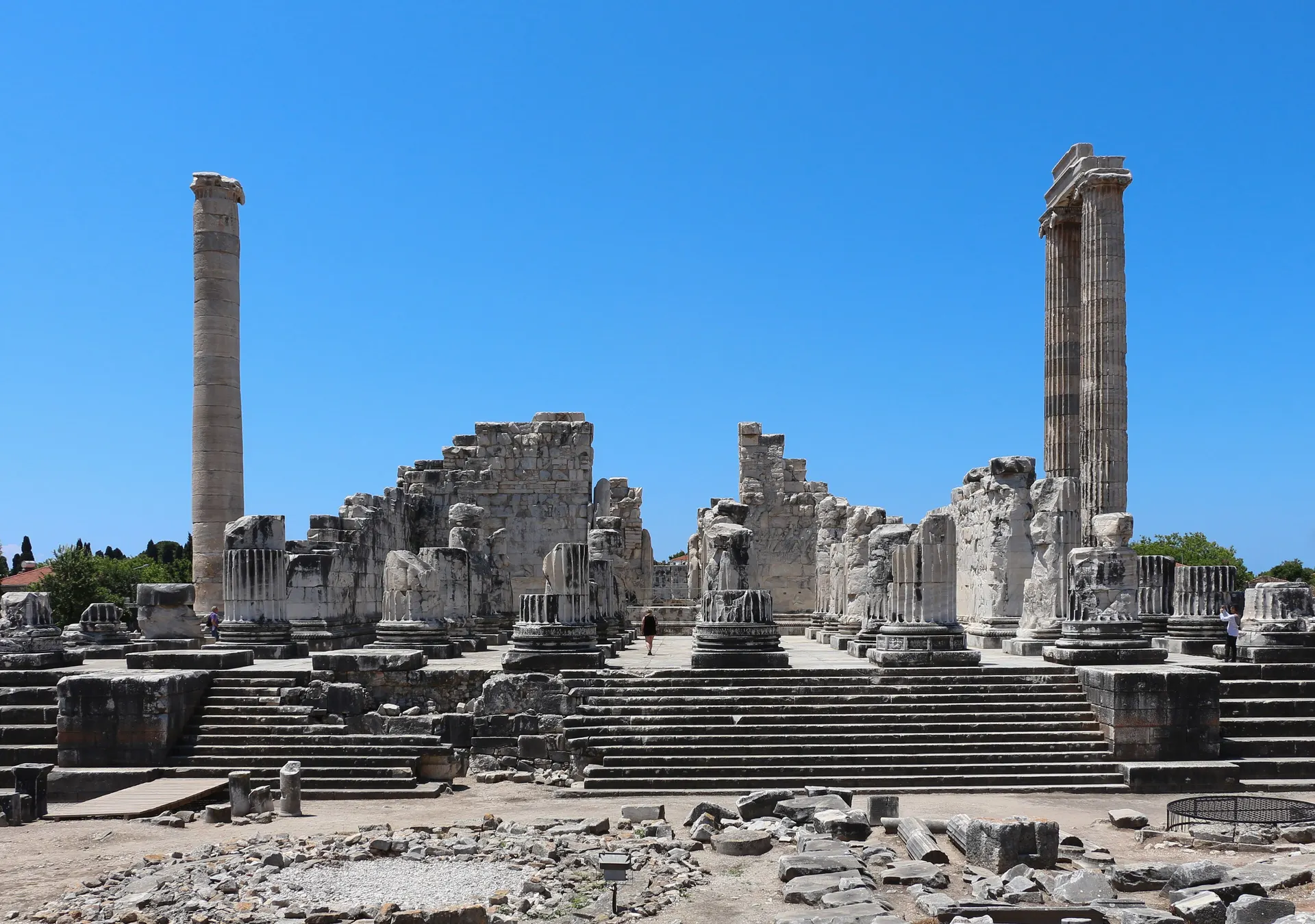 Apollon Tapınağı, Didim, Didim Apollon Tapınağı