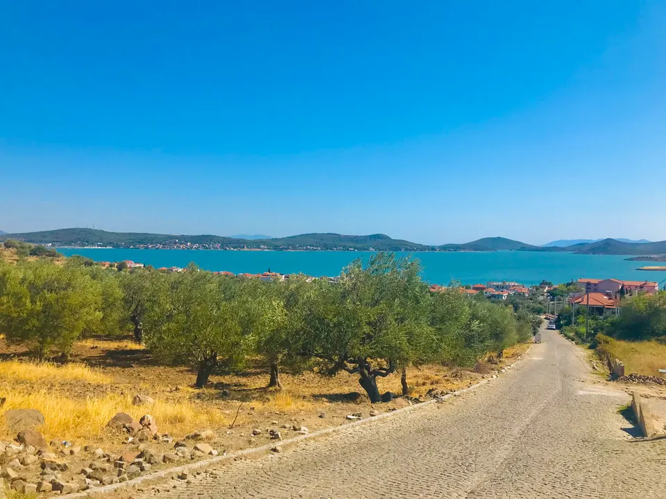 Cunda'da zeytinlikler ve körfez, Cunda (Alibey) Adası