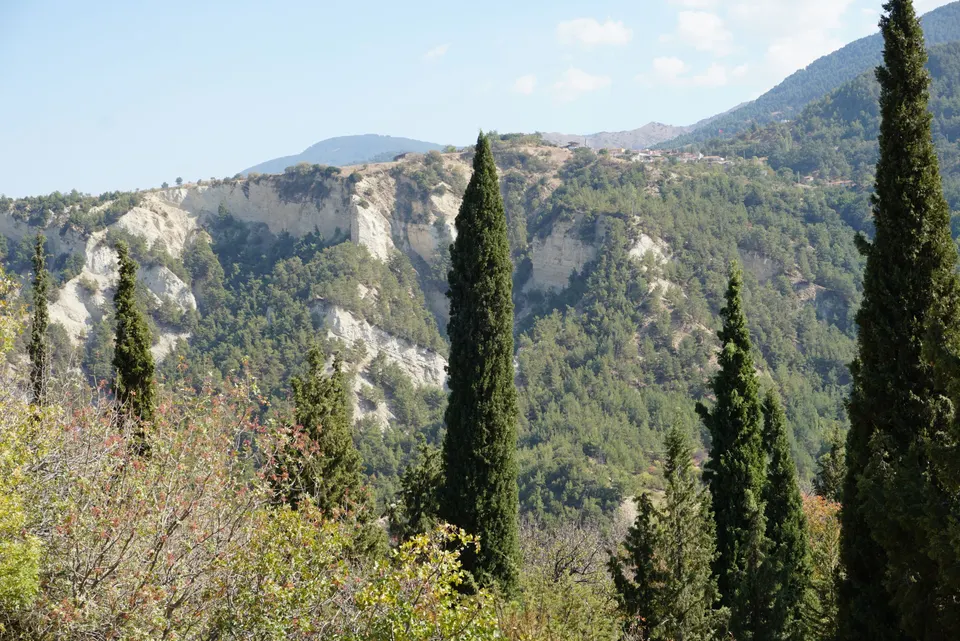 Babadağ kuzeyindeki boğaz, Babadağ (Salbakos) ormanları