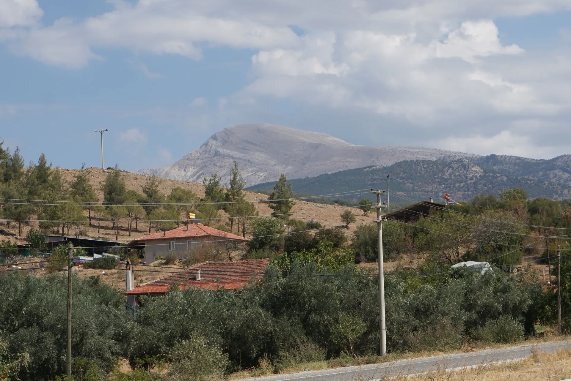 Babadağ (Salbakos), batıdan, Babadağ (Salbakos) ormanları