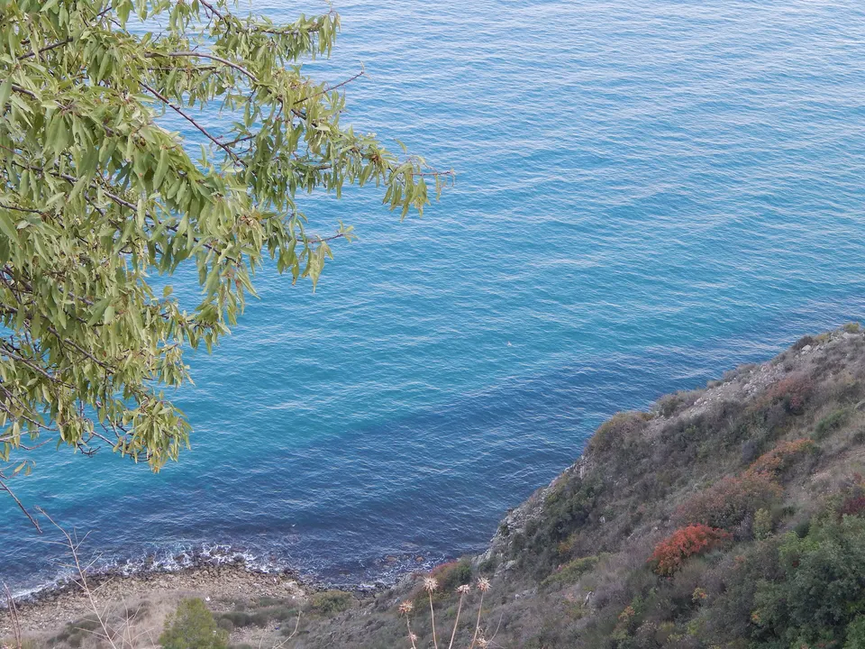Kumbağ
