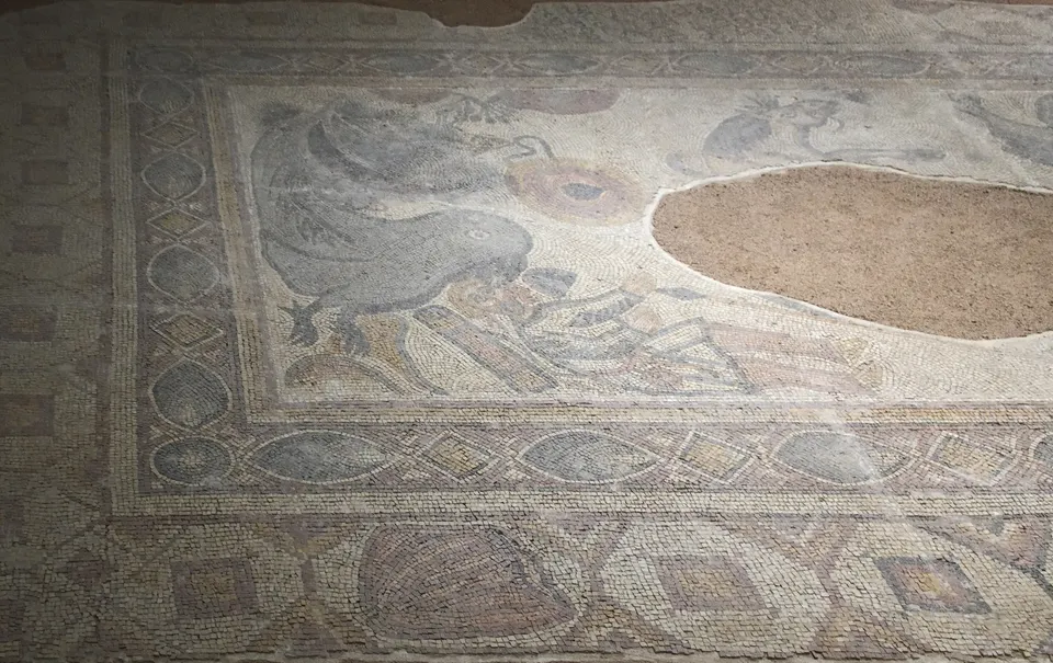 Şanlıurfa Arkeoloji ve Mozaik Müzesi
