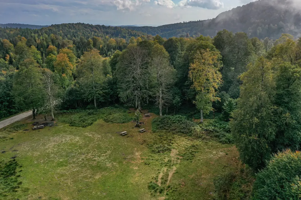 Kuzuyayla Tabiat Parkı