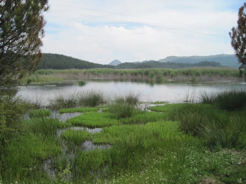 Yayla Gölü kıyısı, Buldan Yayla Gölü