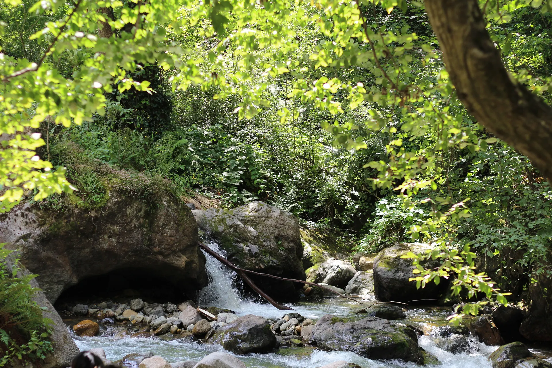 Altındere Vadisi, Altındere Vadisi Milli Parkı