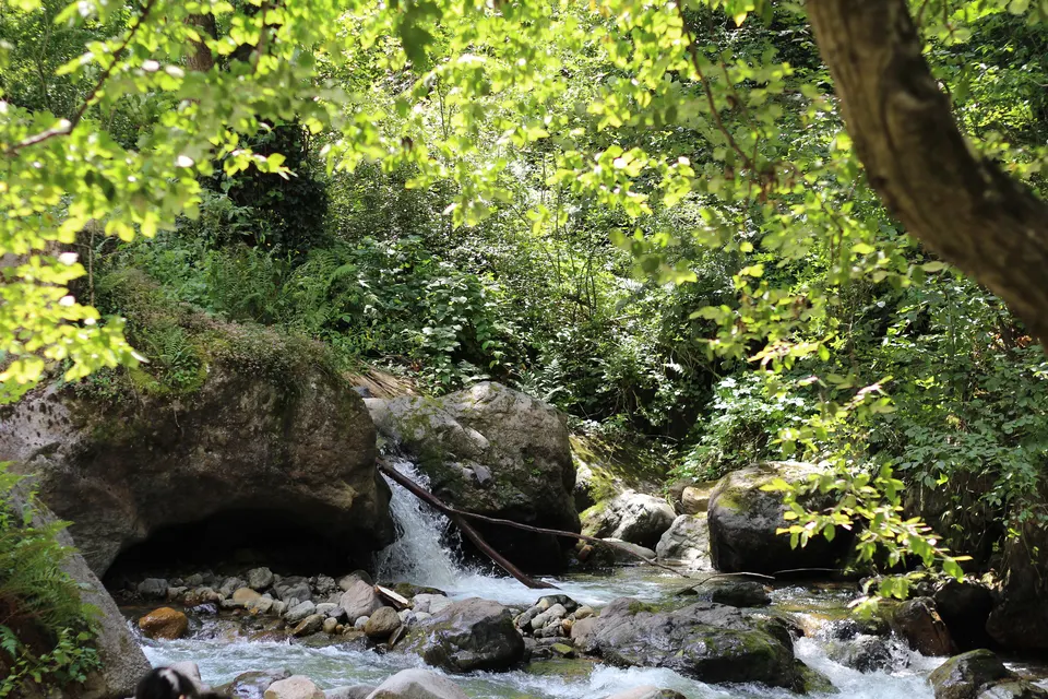 Altındere Vadisi Milli Parkı