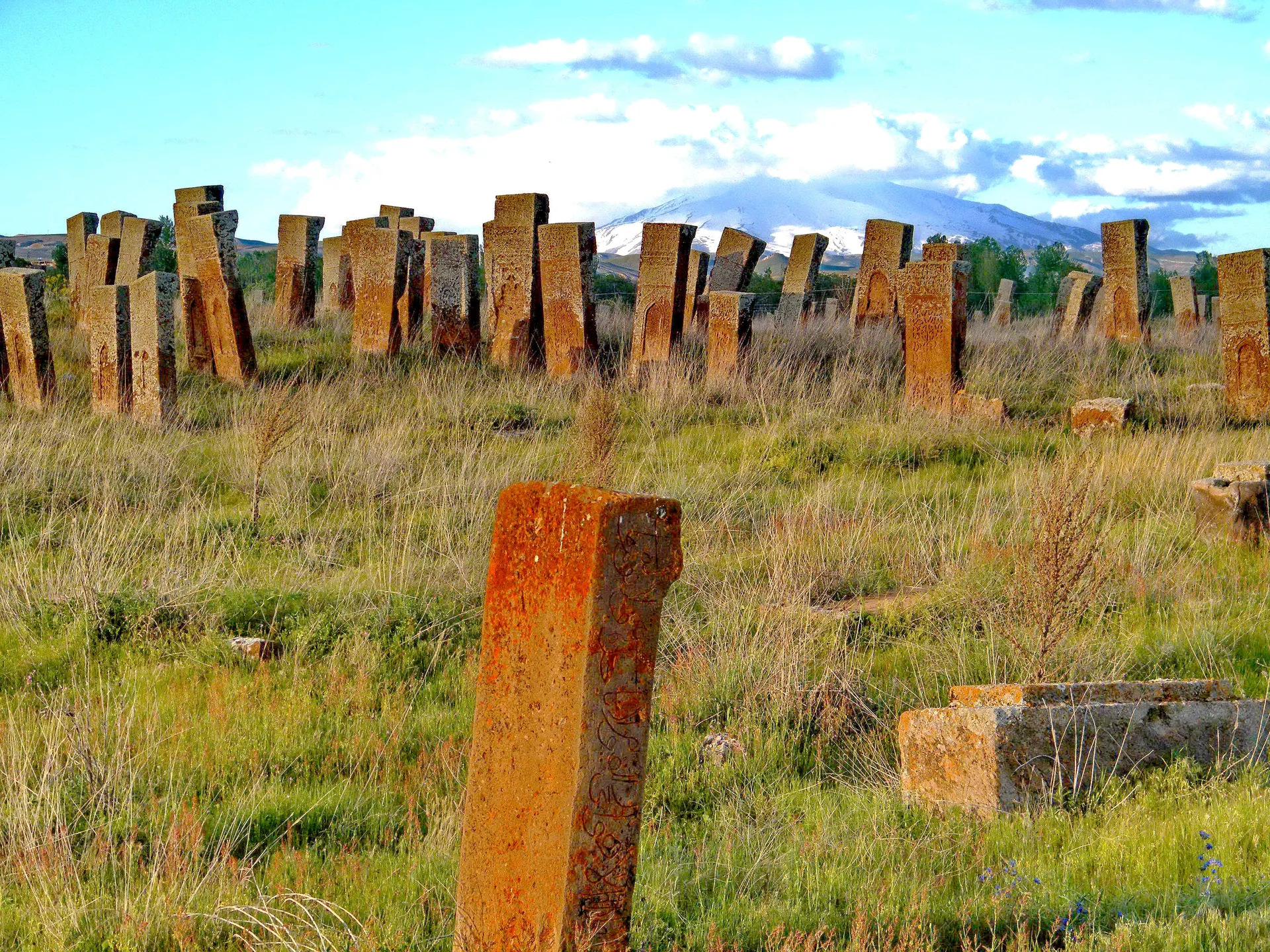Selçuklu mezar taşları, Ahlat Selçuklu Meydan Mezarlığı