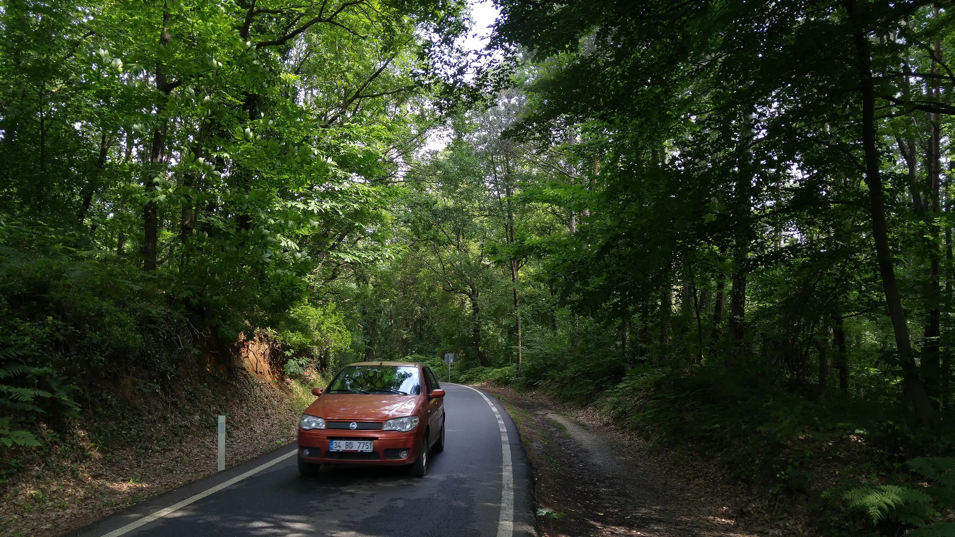 Belgrad Ormanı yolu, Sarıyer, Belgrad Ormanı