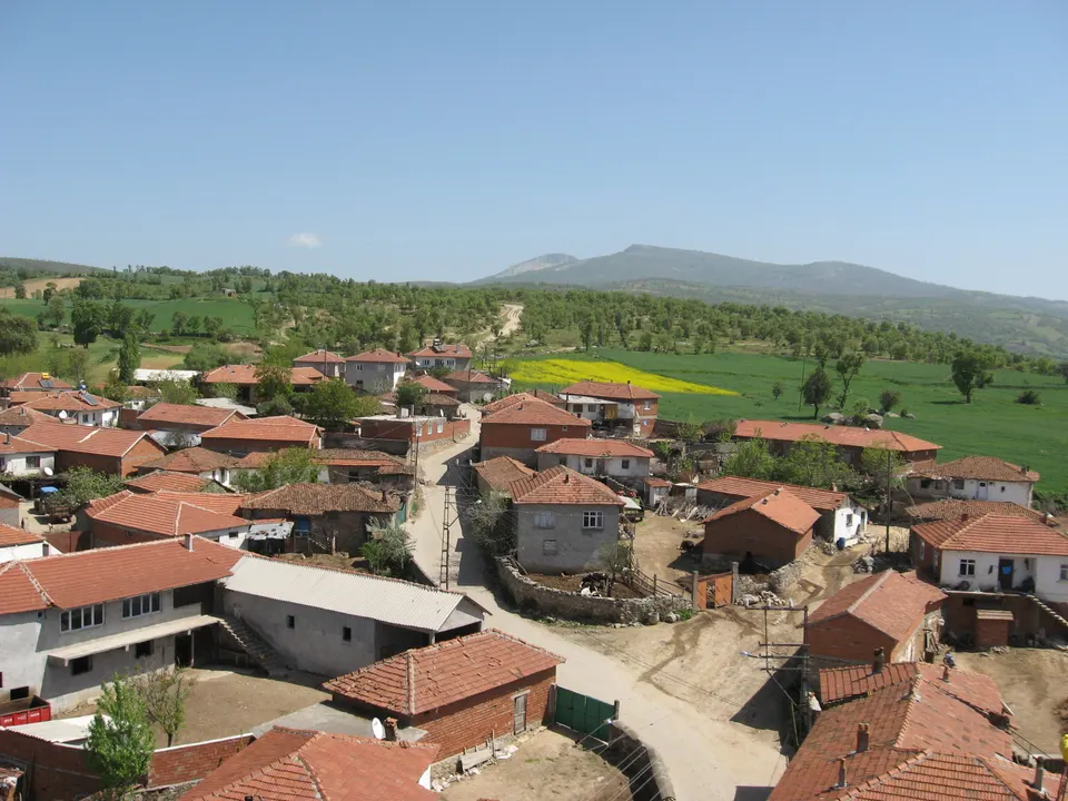 Çataldağ Ormanları