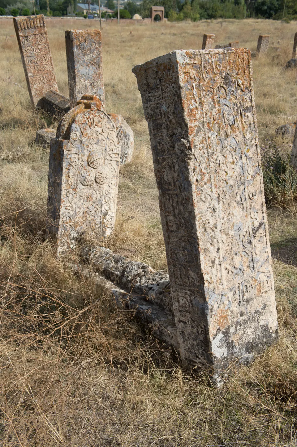 Devrik ve ayakta mezar taşları, Gevaş Selçuklu Mezarlığı