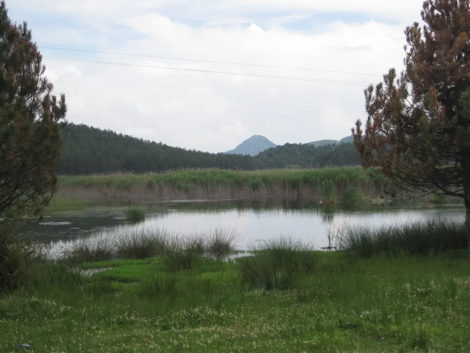 Yayla Gölü ve çam ormanı, Buldan Yayla Gölü