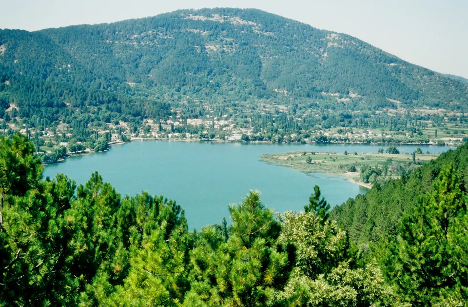 Gölcük Gölü ve çevresindeki çam ormanları, Gölcük Gölü