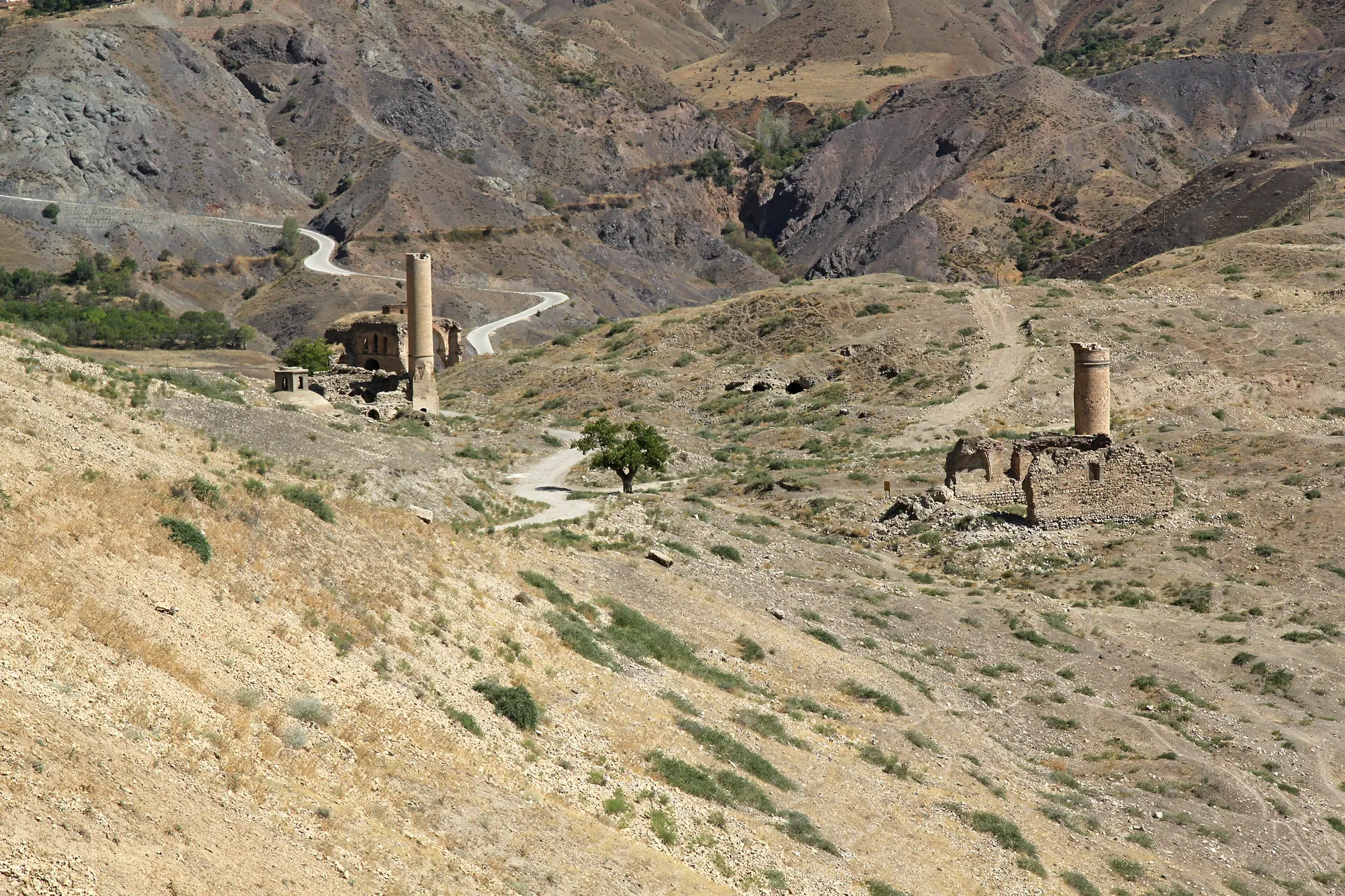 Eski Palu, Palu Kalesi ve Tarihi Palu