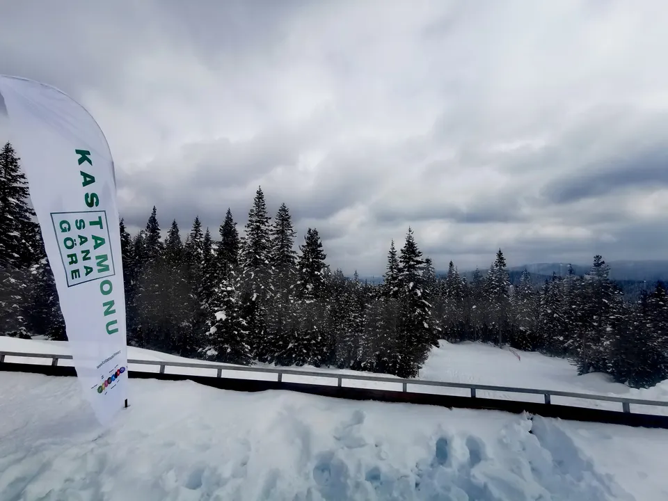 Ilgaz Dağı Milli Parkı