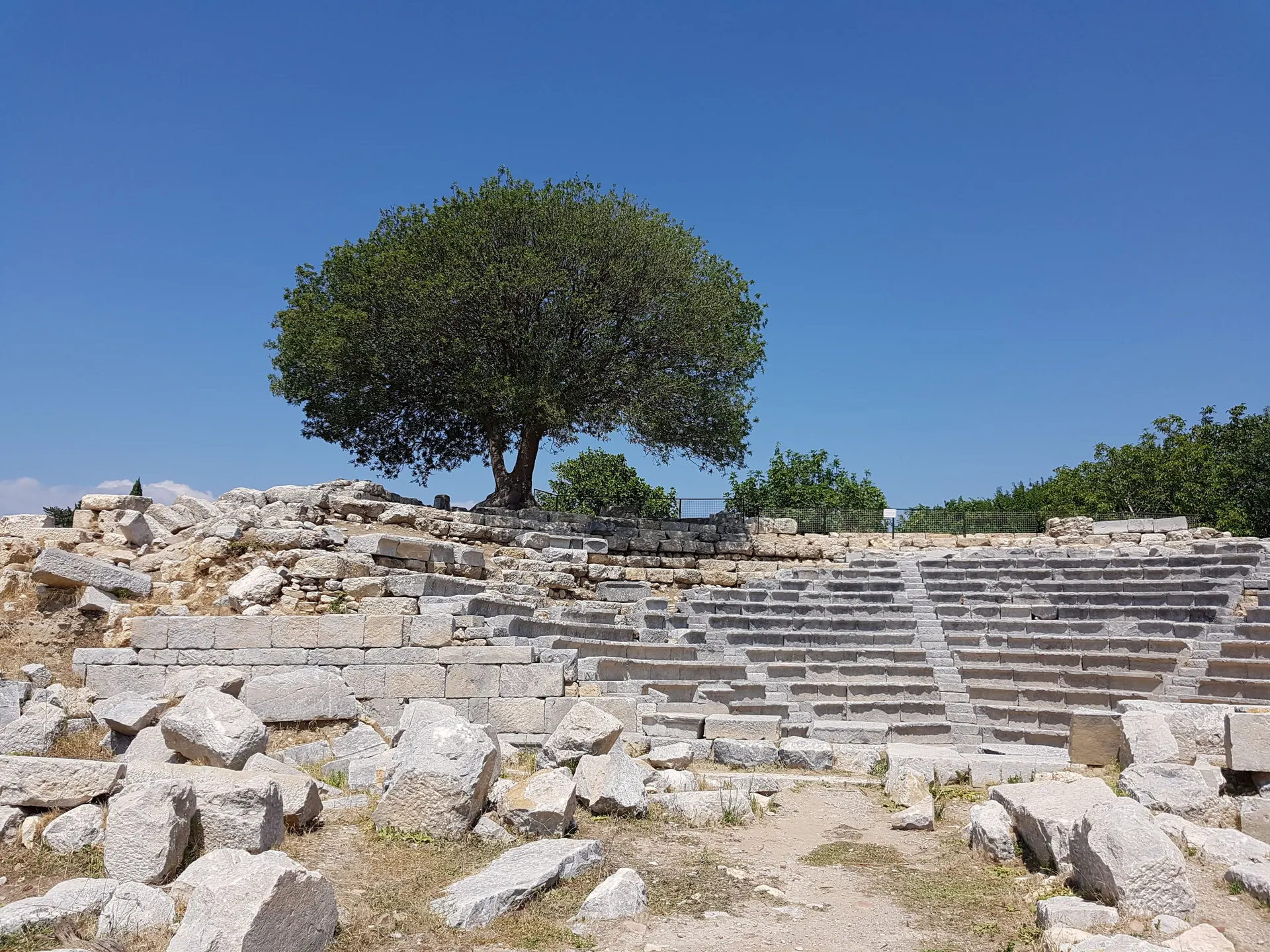 Teos Antik Kenti, Teos Antik Kenti