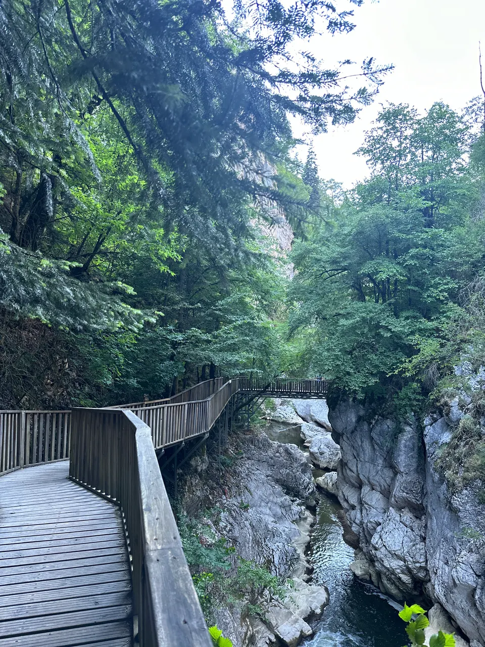 Küre Dağları Milli Parkı