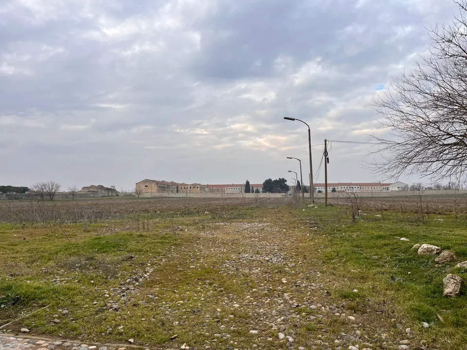 Anadolu Tarım İşletmesi (Mahmudiye Harası)
