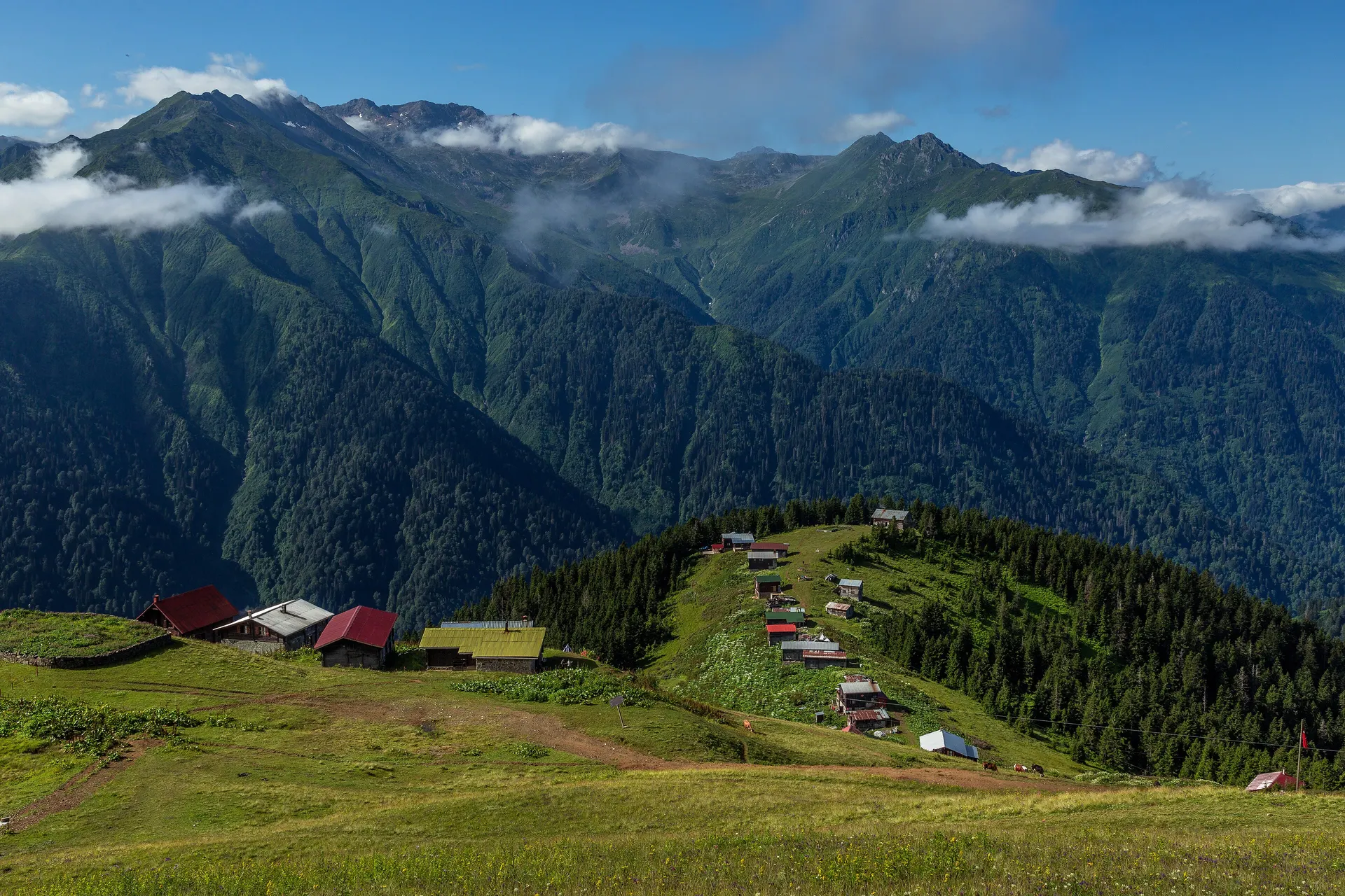 Pokut Yaylası, Pokut ve Sal yaylaları