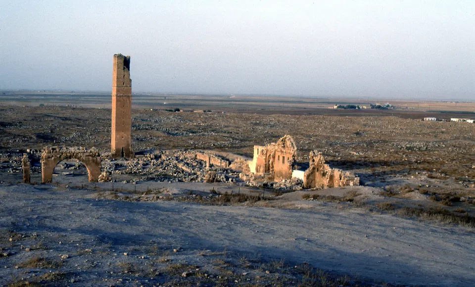 Harran Ulu Camii ve ilk üniversite kalıntıları