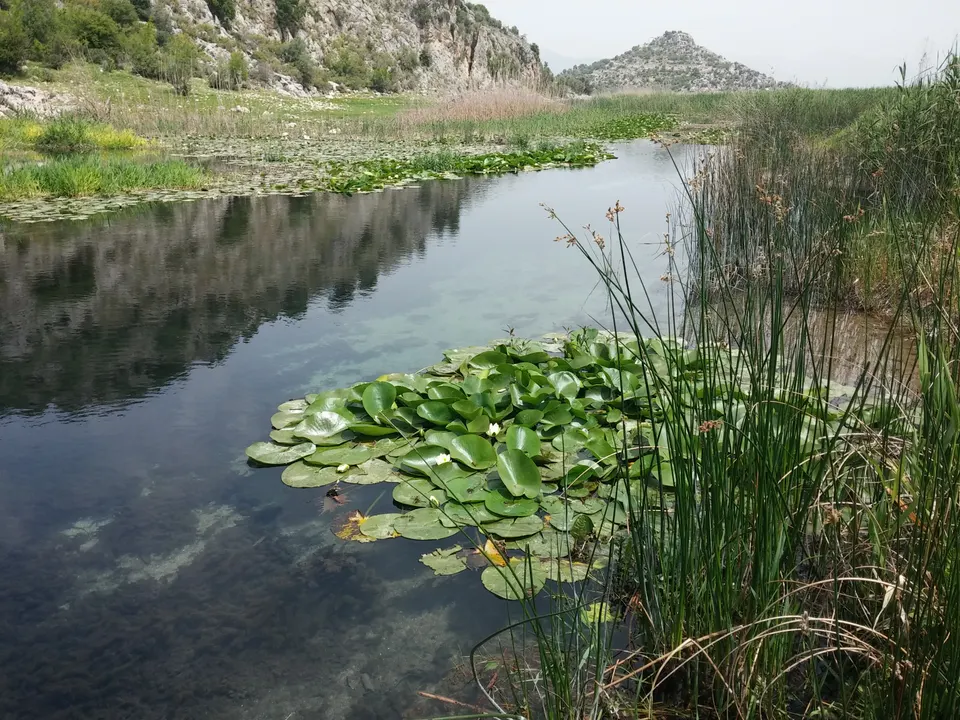 Kırkgöz Gölü ve Kırkgöz Hanı